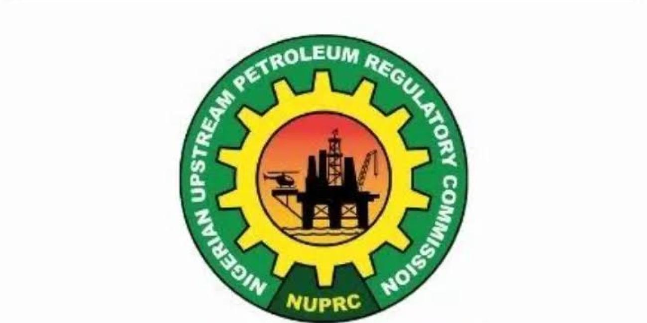 74 Chinese Companies Show Interest To Invest In Nigeria’s Oil Sector, Says Petroleum Commission NUPRC
