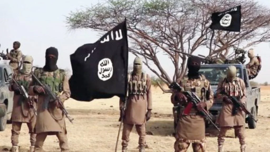 Suspected Boko Haram kill two vigilantes, 10 firewood fetchers in Borno