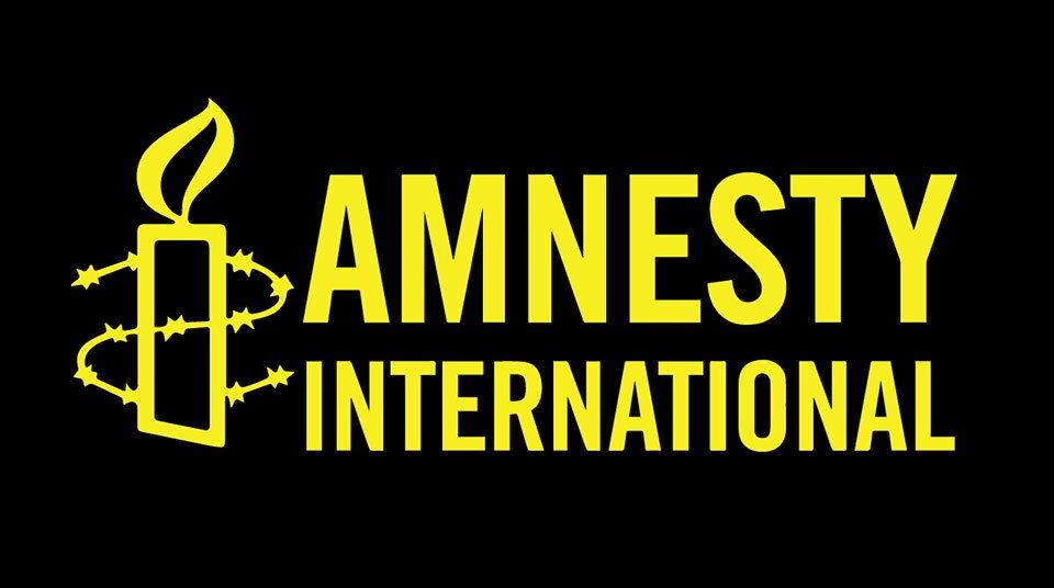 We are not in Nigeria to fight government- Amnesty International clarifies