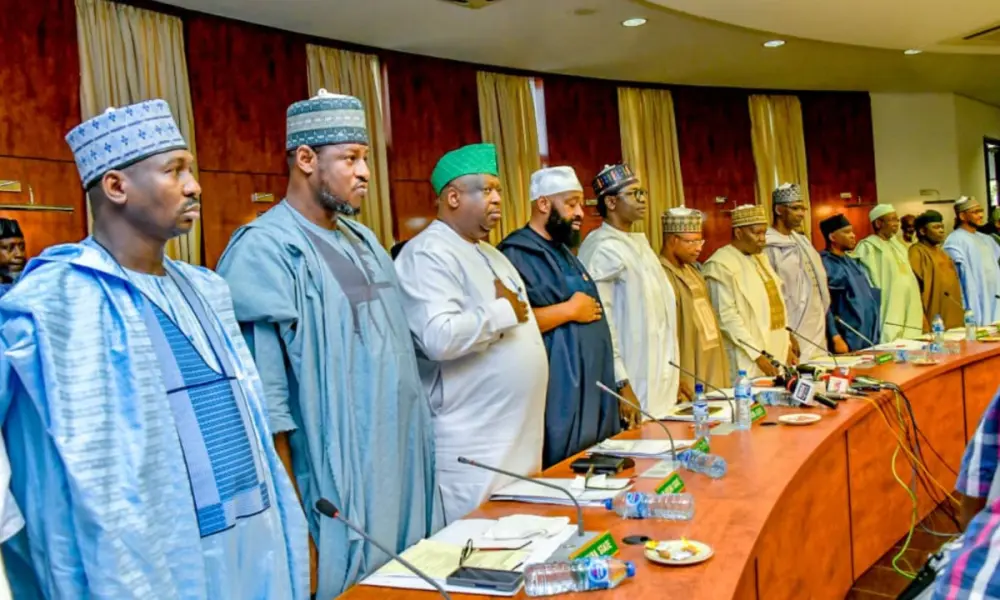 Crime Fighting: Northern Governors back creation of state police