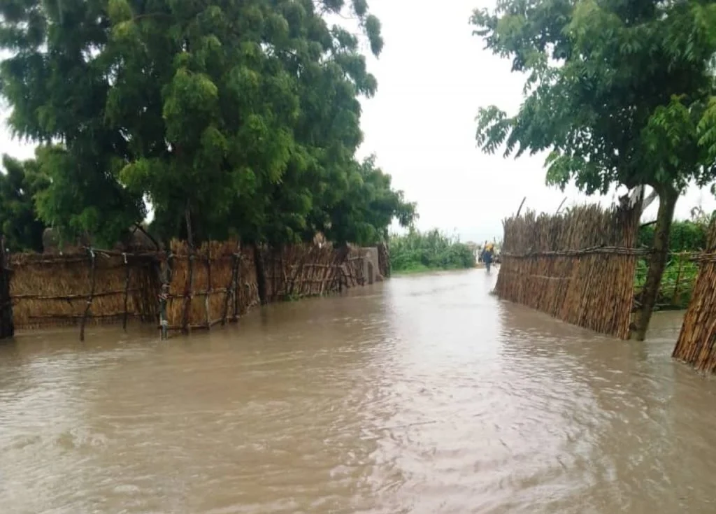 21 dead, 50 houses washed away as flood ravages Niger communities