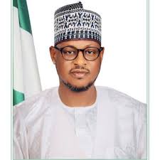 Informants within communities fuel 80% of Katsina’s insecurity – Radda