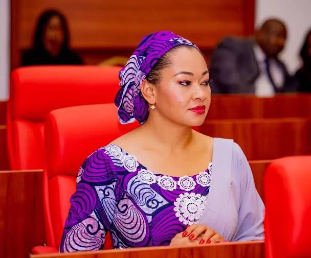 BREAKING: Senate Replaces Natasha, Names New Chairman Committee on Diaspora & NGOs