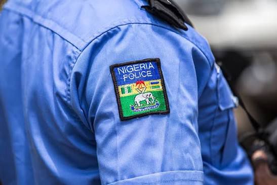 Osun Police Rescues 15 Young Victims from Human Traffickers